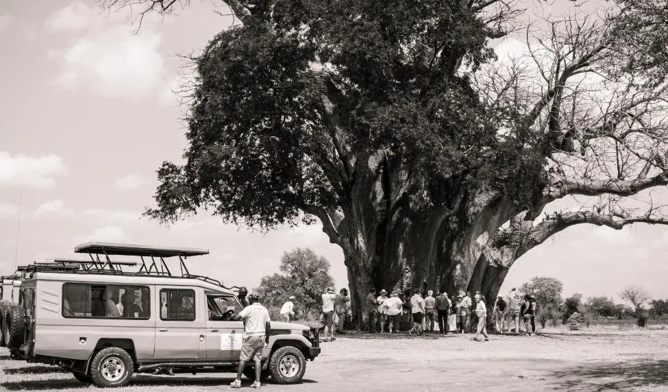 Honeymoon Rail Journey from Victoria Falls to Pretoria on Rovos Rail