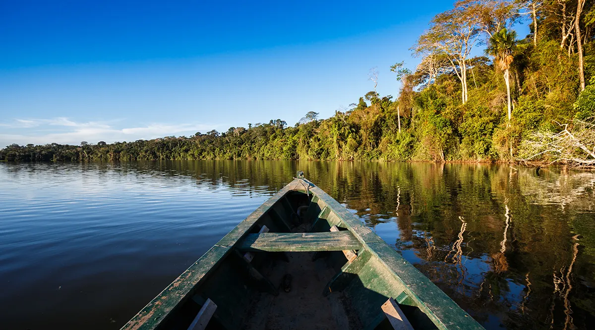 Brazil Highlights Explorer