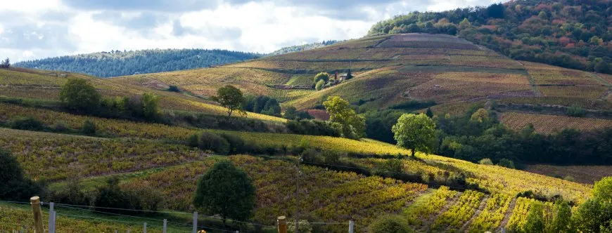 Rhone Alpes