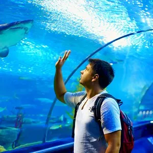 Bristol Aquarium
