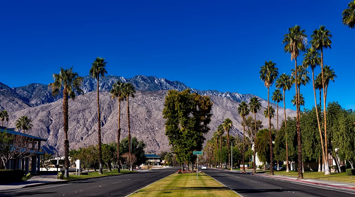 Coastal Palms to Desert Springs