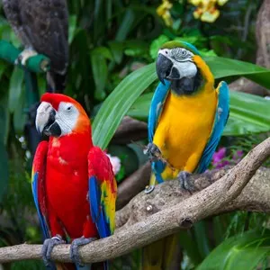 Umgeni River Bird Park