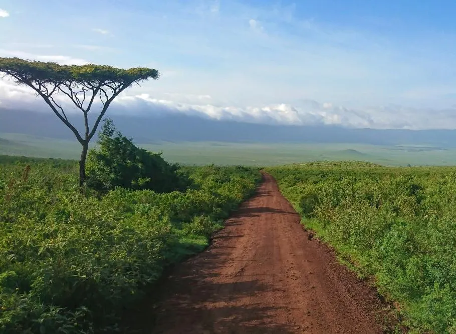 A Taste of Tanzania
