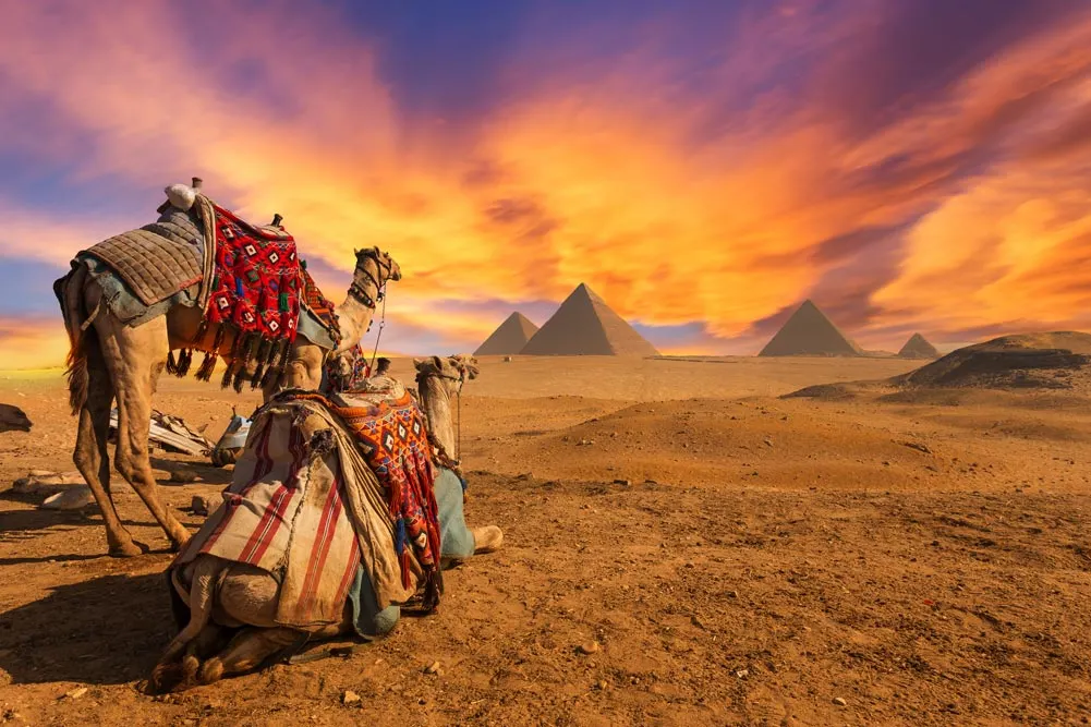 Cairo Discovery