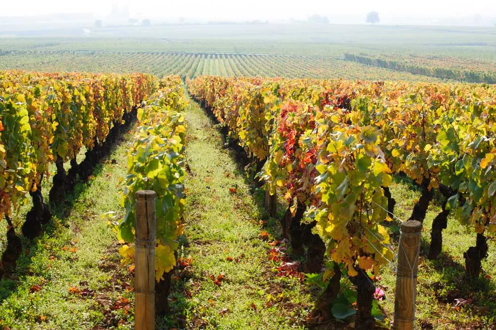 Delightful Loire Valley and Burgundy