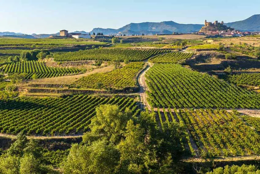 Madrid Andalusia and Costa Del Sol Self Drive Explorer