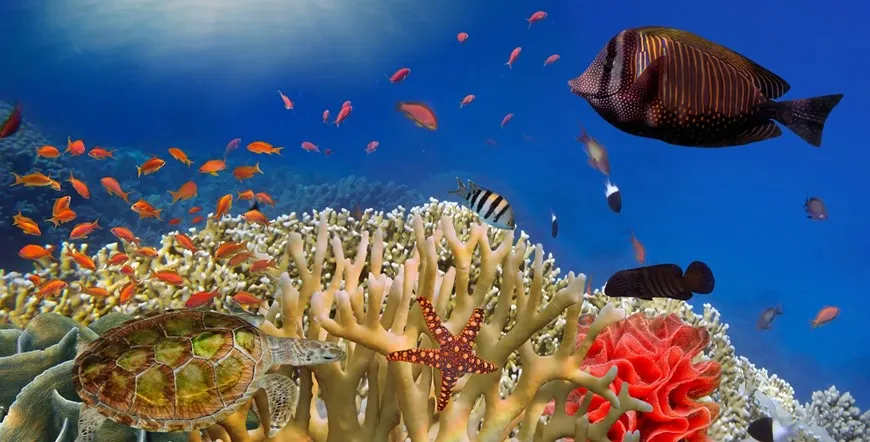 Sharm el Sheik Extension