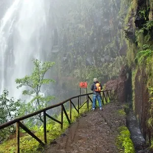 Madeira Nature Festival