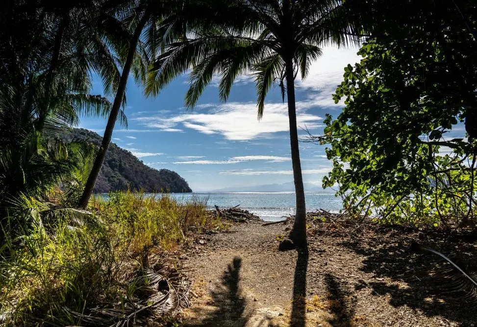 Limon Beach Escapade