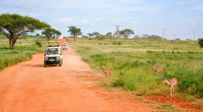 Classic East Africa Overland Private Safari 