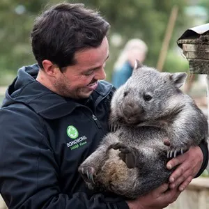 Bonorong Wildlife Sanctuary