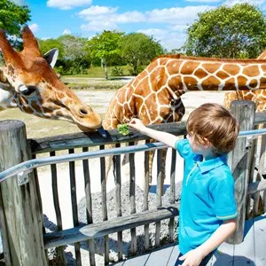 Dresden Zoo
