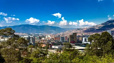 Medellin Discovery