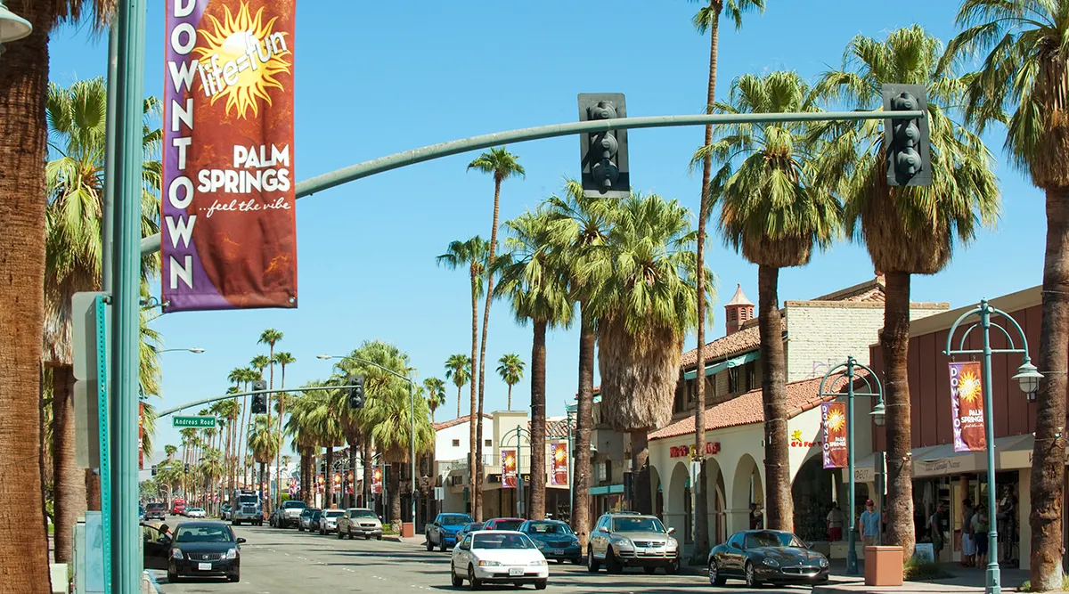 Coastal Palms to Desert Springs