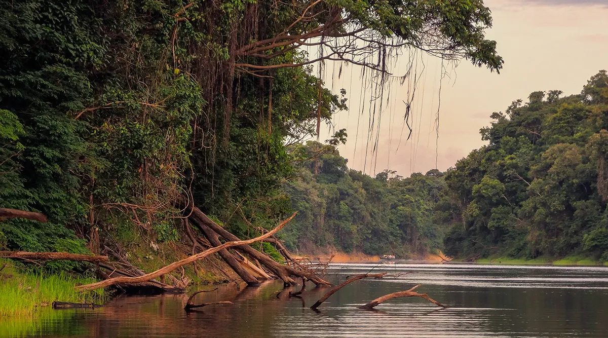 Brazil Highlights Explorer
