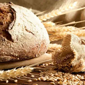 Close-up on traditional bread