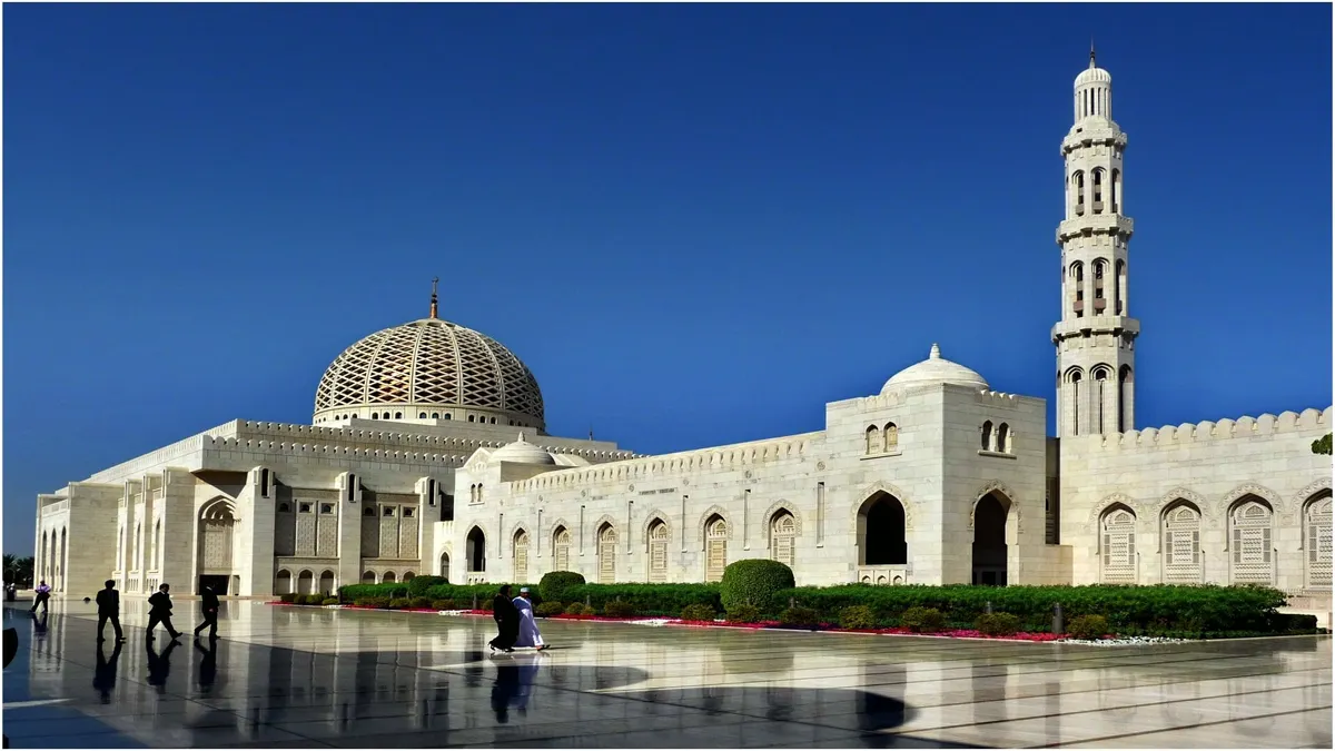 Muscat Discovery