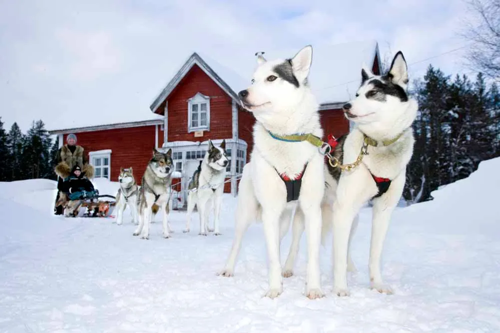 Finland and Sweden Winter Lapland Private Journey