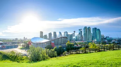 Calgary Discovery