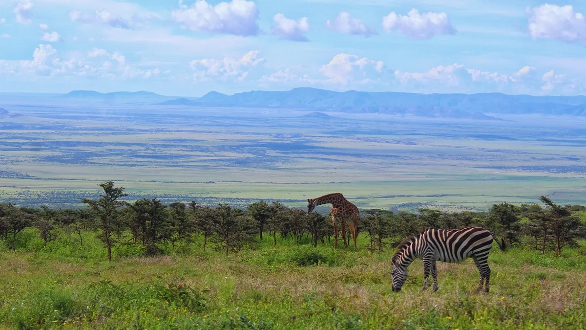 Tanzania Northern Circuit Safari