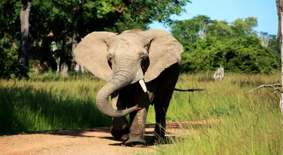Hwange National Park