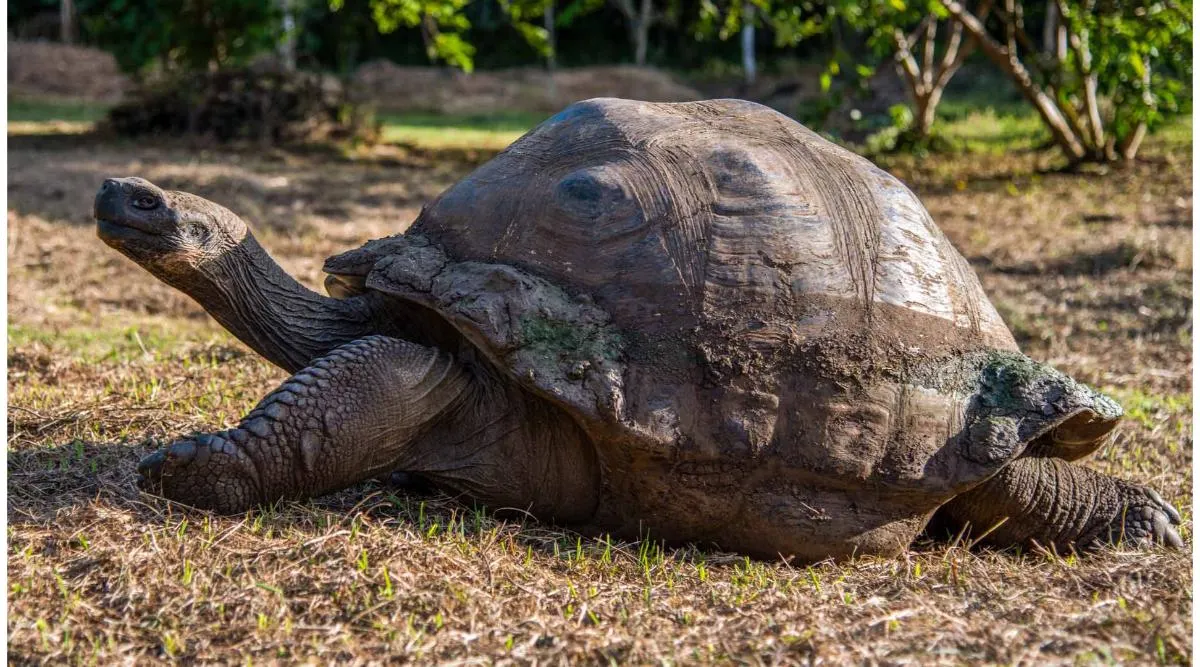 Galapagos Islands Southern Route Cruise Aboard MC Alya
