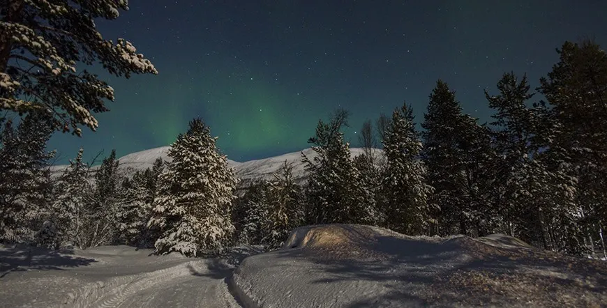 Arctic Winter Tale Norway City Escape