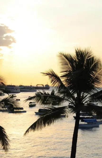 Zanzibar Beach Pre or Post Cruise