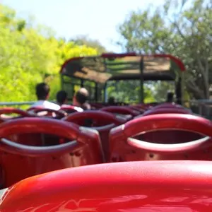 Public Transport