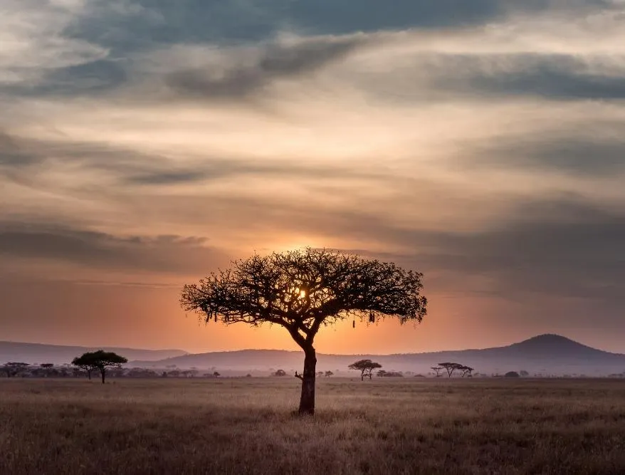 Arusha photo 10