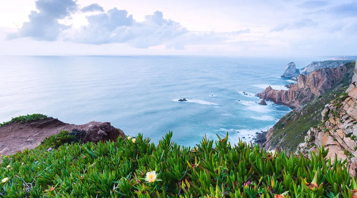Portugal Highlights Private Journey including Douro Valley