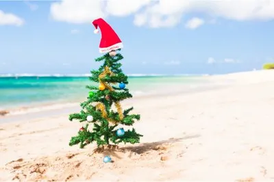 Bahamas DiscoveryImage