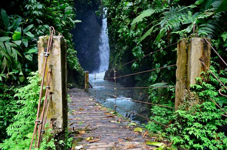 Private Journey Through Ecuador's Highlands and Cloud Forests 