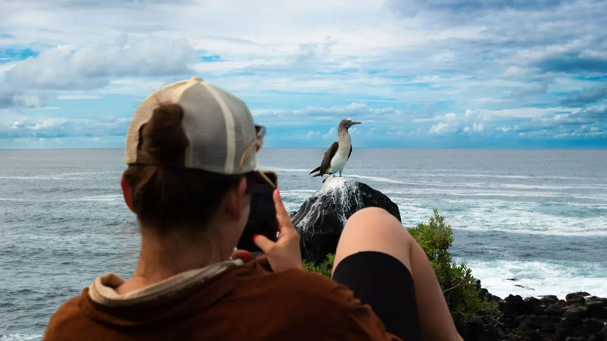 Western Galapagos Wildlife and Volcanic Wonders Cruise