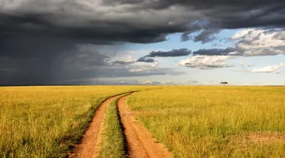 East African Explorer Private Journey