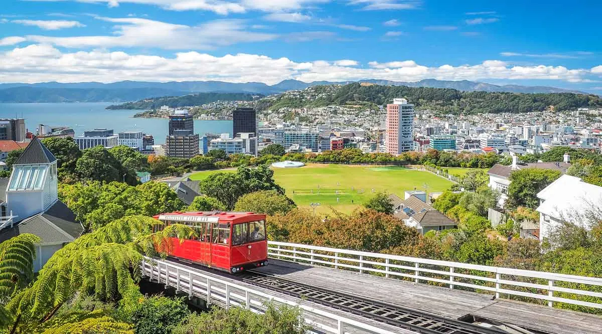 Jewels of Northern New Zealand