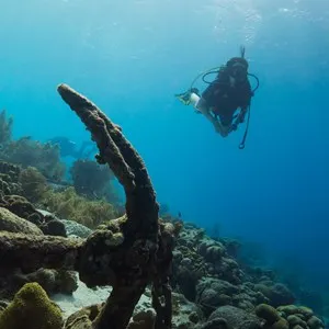 Scuba Diving