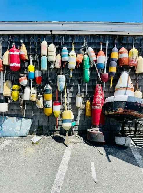 Cape Cod