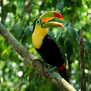 Manuel Antonio National Park