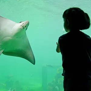National SEA LIFE Centre