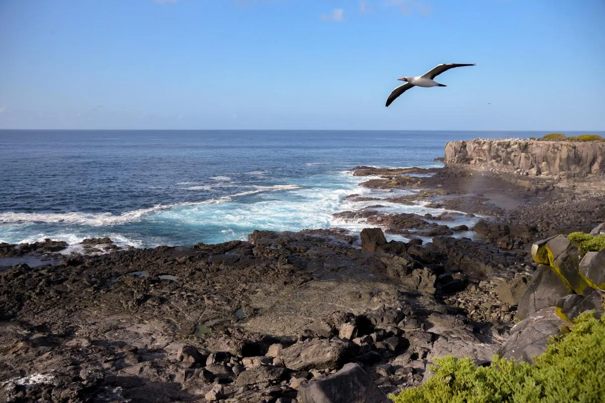 Galapagos Islands Southern Route Cruise Aboard MC Alya