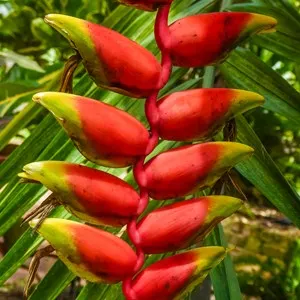 Audubon House & Tropical Garden