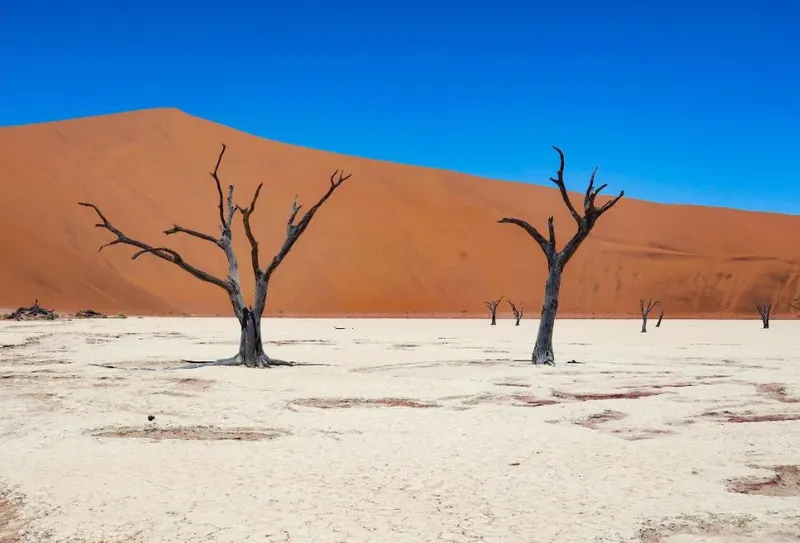 Sossusvlei