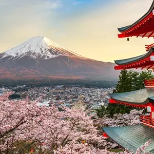 Mount Fuji & Hakone 1-Day
