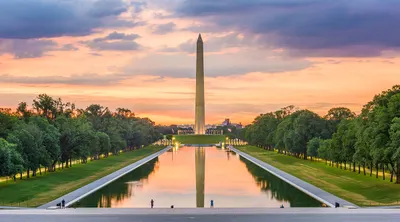 Washington DC Discovery