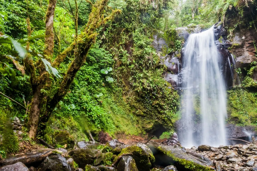 Chiriqui Province