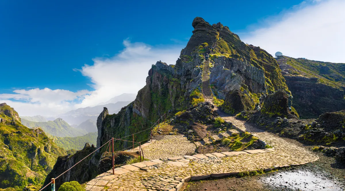 Madeira Island Escapade