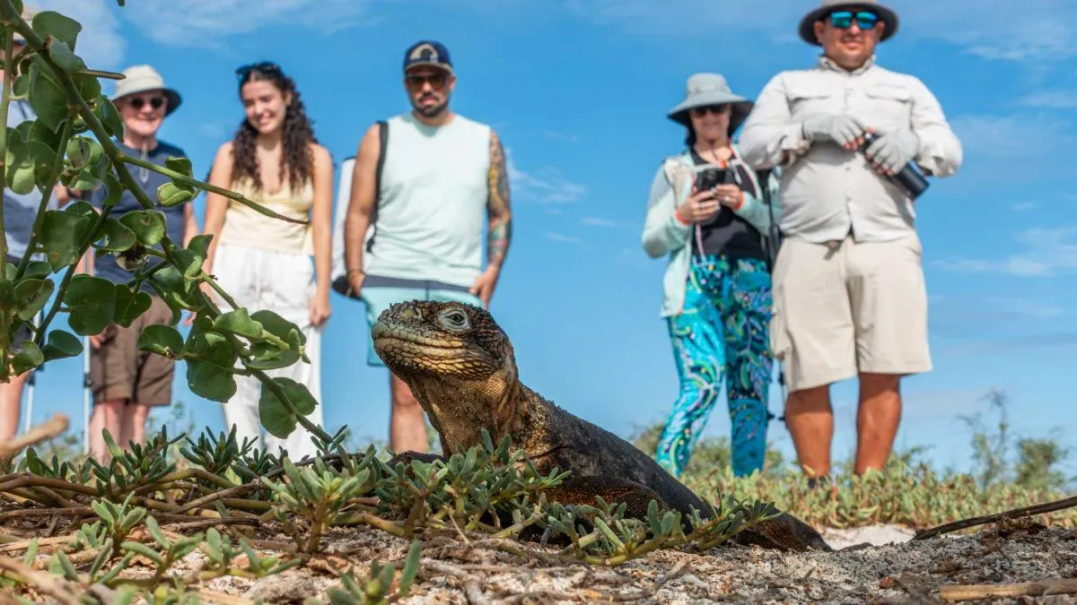 Western Galapagos Wildlife and Volcanic Wonders Cruise