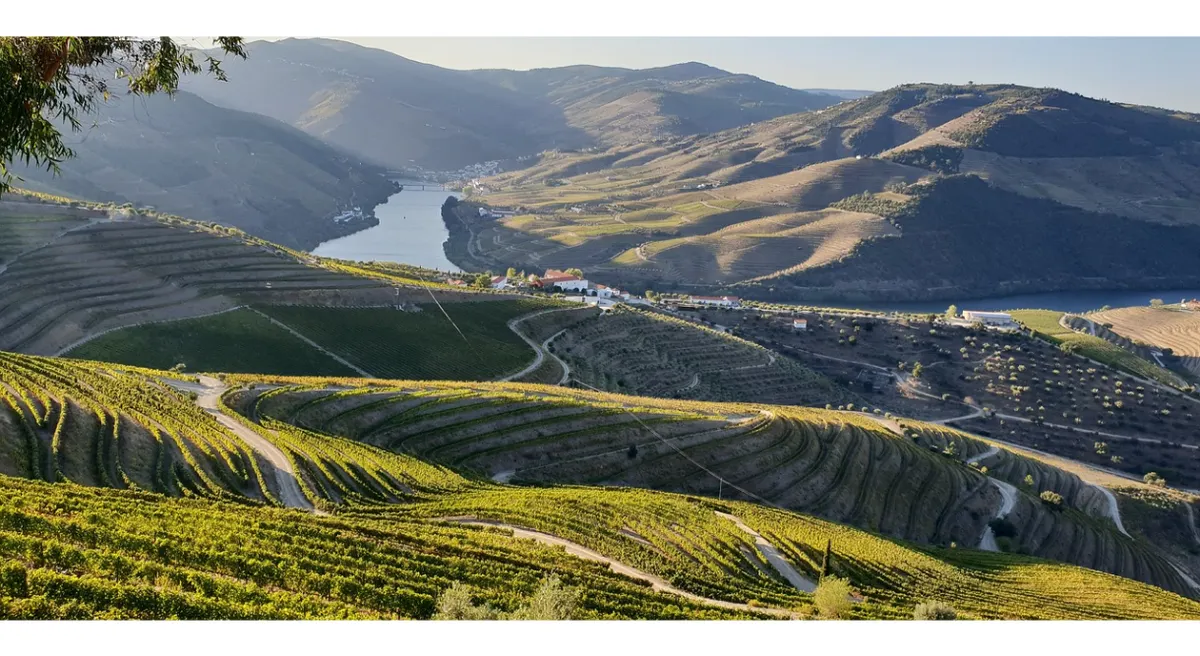Portugal Wine Region and Santiago De Compostela Private Journey