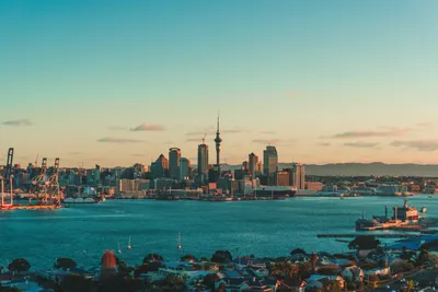 Auckland Pre or Post CruiseImage